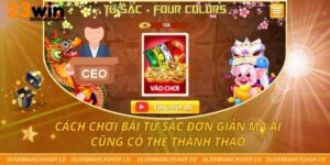 Cách Chơi Bài Tứ Sắc Đơn Giản Mà Ai Cũng Có Thể Thành Thạo