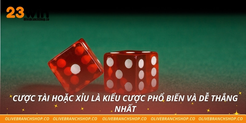 Cược tài hoặc xỉu là kiểu cược phổ biến và dễ thắng nhất