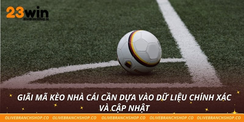 Giãi mã kèo nhà cái cần dựa vào dữ liệu chính xác và cập nhật