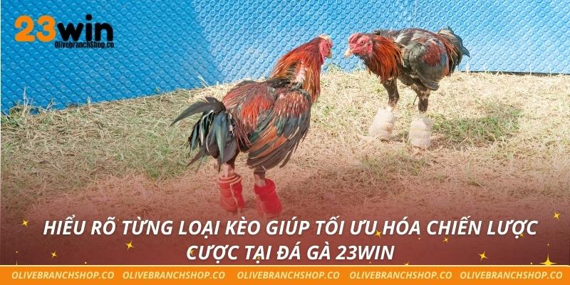 Hiểu rõ từng loại kèo giúp tối ưu hóa chiến lược cược tại đá gà 23win