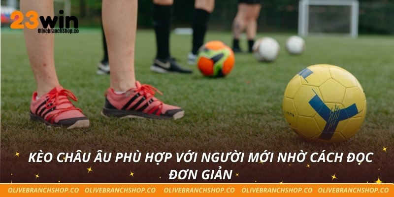 Kèo châu Âu phù hợp với người mới nhờ cách đọc đơn giản