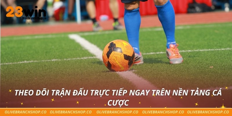 Theo dõi trận đấu trực tiếp ngay trên nền tảng cá cược