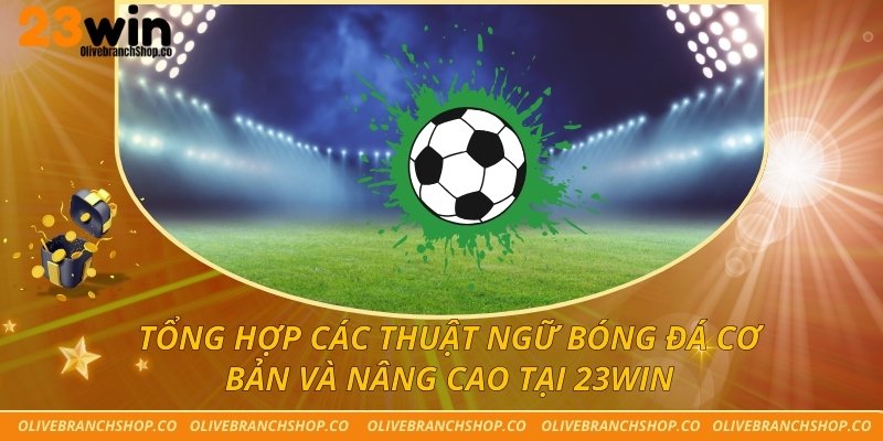 Tổng Hợp Các Thuật Ngữ Bóng Đá Cơ Bản Và Nâng Cao Tại 23win